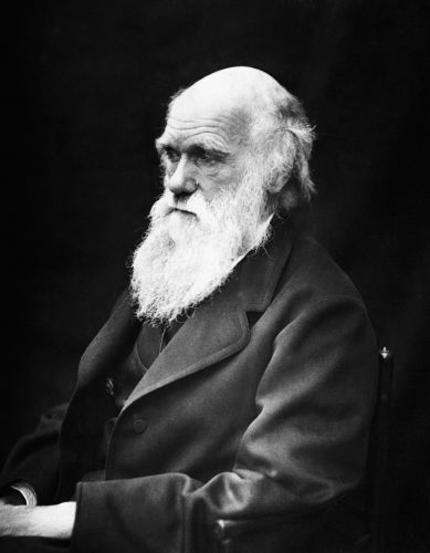 チャールズ・ダーウィン　進化論